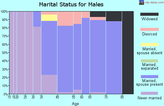Belleair Beach marital status for males