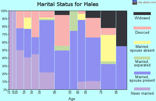 Belleview marital status for males