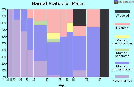 Big Coppitt Key marital status for males