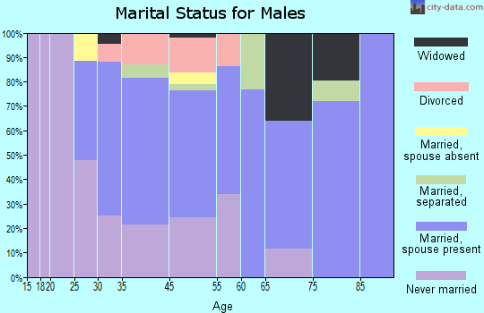 Biscayne Park marital status for males