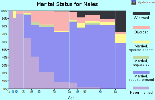 Boca Del Mar marital status for males