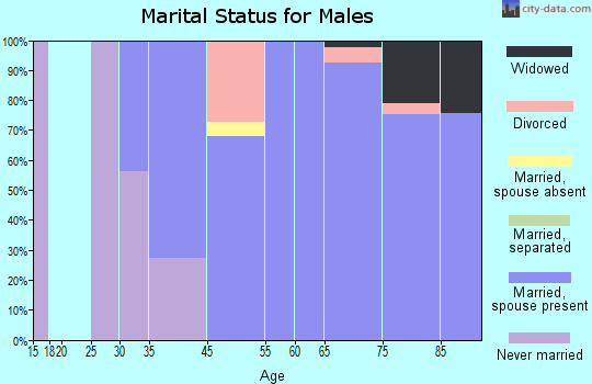 Boca Pointe marital status for males
