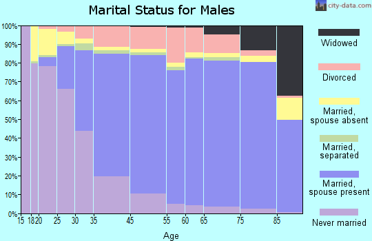 Boca Raton marital status for males
