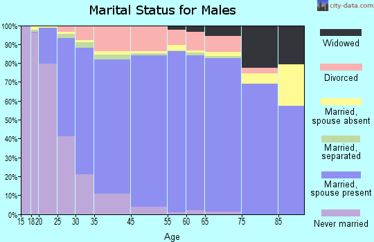 Brandon marital status for males