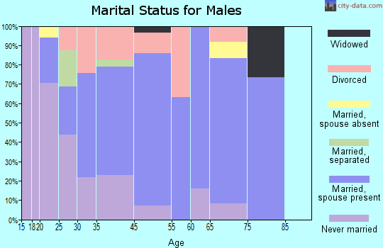Bristol marital status for males