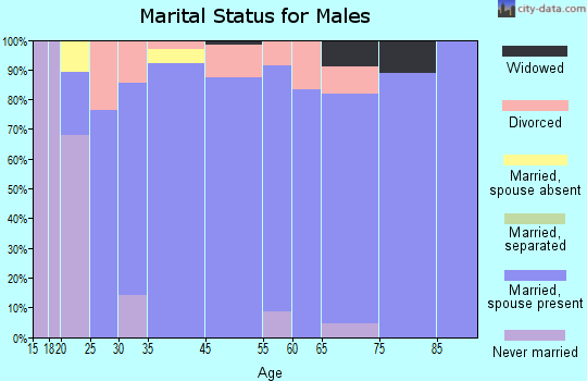 North Bibb marital status for males