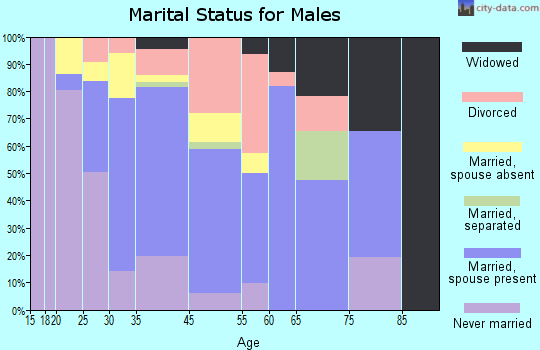 Broadview-Pompano Park marital status for males