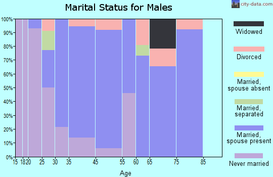 Bronson marital status for males