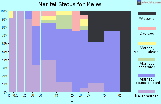 Broward Estates marital status for males