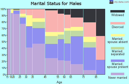 Brownsville marital status for males