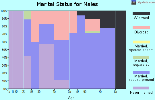 Buckhead Ridge marital status for males