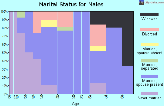 Notasulga marital status for males