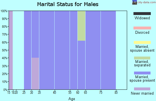 Chokoloskee marital status for males