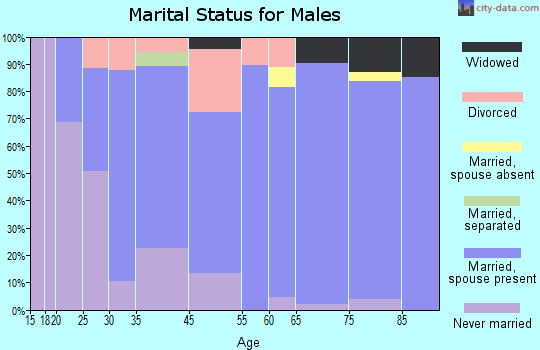 Citrus Springs marital status for males