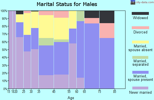 Dade City North marital status for males