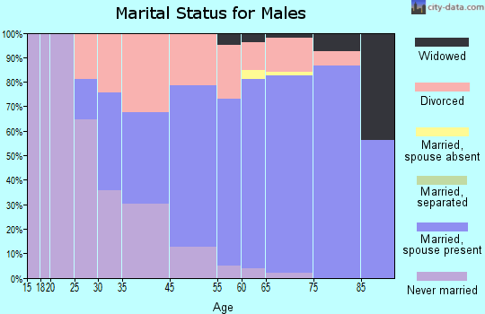 Daytona Beach Shores marital status for males