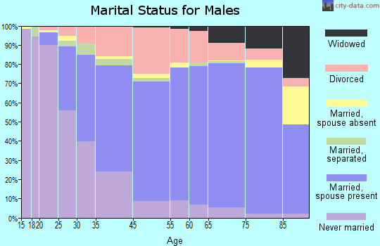 Dunedin marital status for males