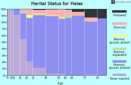 East Lake marital status for males