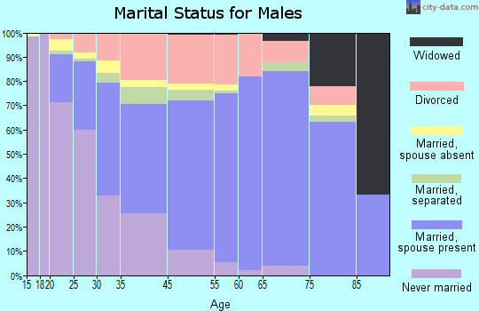 Egypt Lake-Leto marital status for males