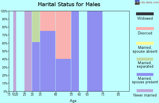 Ferndale marital status for males