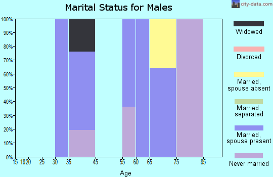 Fisher Island marital status for males