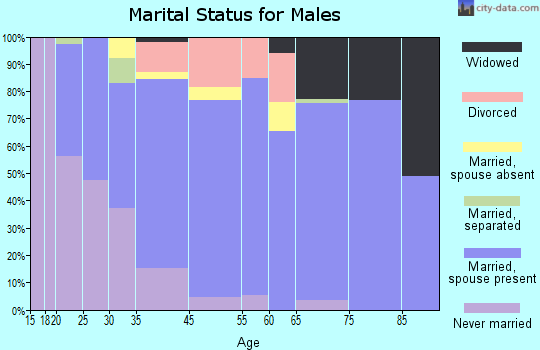 Fort Myers Shores marital status for males