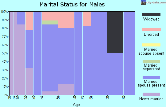 Owens Cross Roads marital status for males