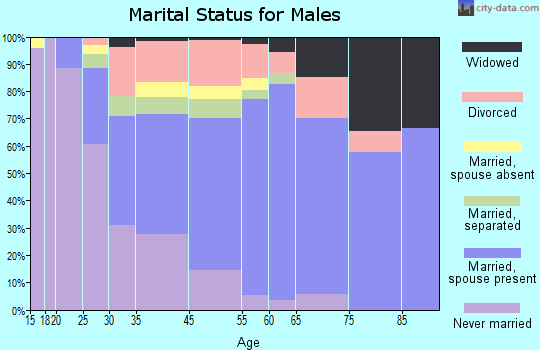 Fort Pierce North marital status for males