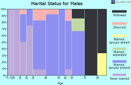 Fort White marital status for males