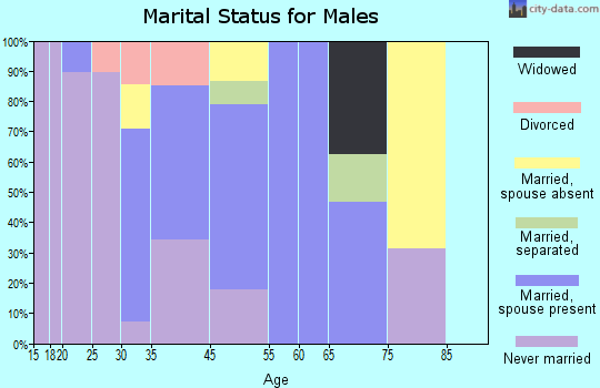 Fremd Village-Padgett Island marital status for males