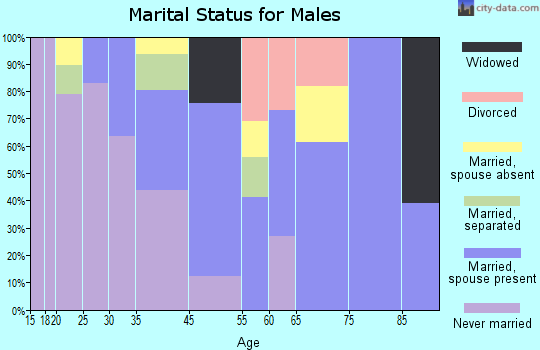 Harlem marital status for males