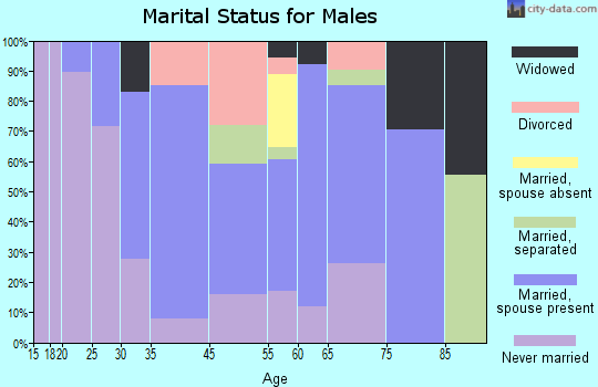 Havana marital status for males