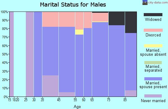 Highland Beach marital status for males