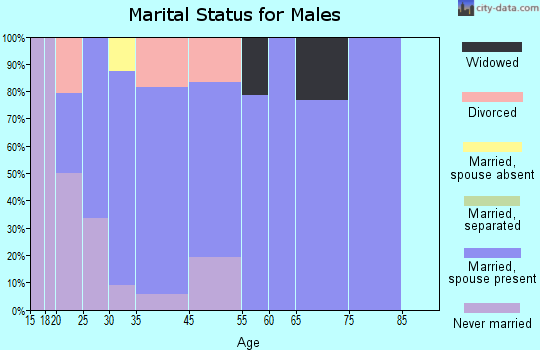 Highland City marital status for males