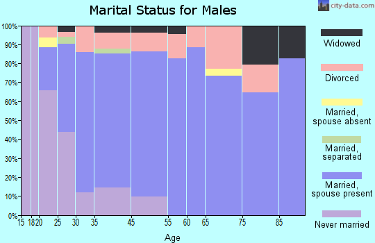 High Springs marital status for males