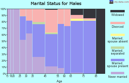 Indian Rocks Beach marital status for males