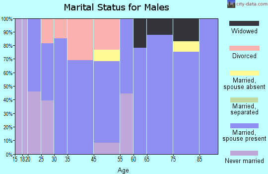 Inverness Highlands North marital status for males