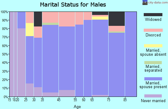 Inverness Highlands South marital status for males