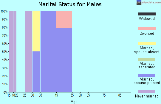 Ivanhoe Estates marital status for males