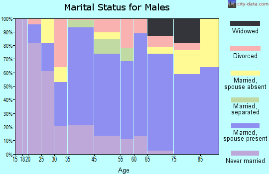 Kenneth City marital status for males