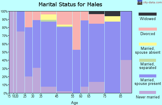 Keystone Heights marital status for males