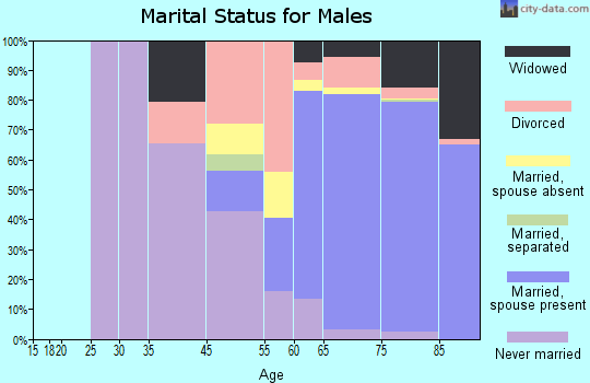 Kings Point marital status for males