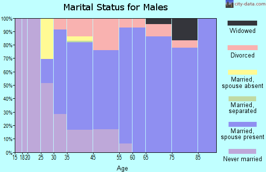 Lake Clarke Shores marital status for males