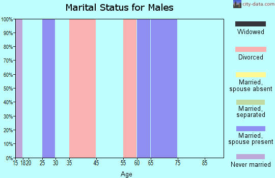 Lake Harbor marital status for males