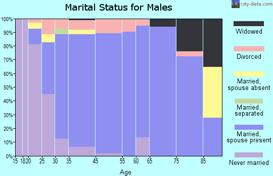 Pleasant Grove marital status for males