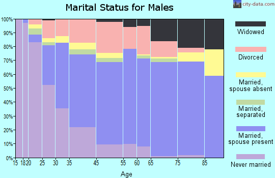 Leesburg marital status for males