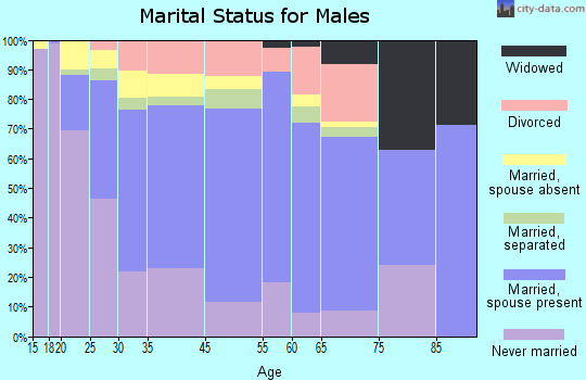 Leisure City marital status for males