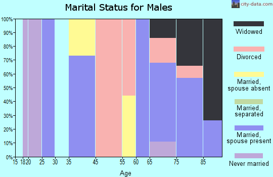 Leisureville marital status for males