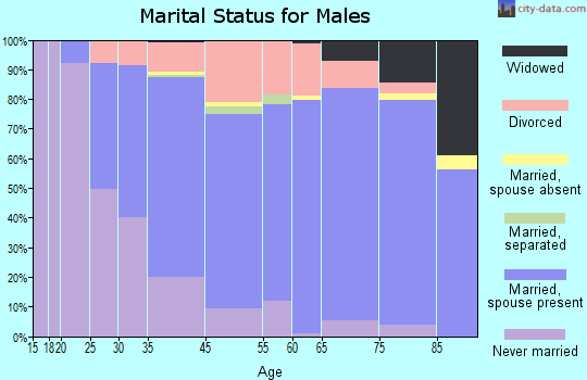 Lighthouse Point marital status for males