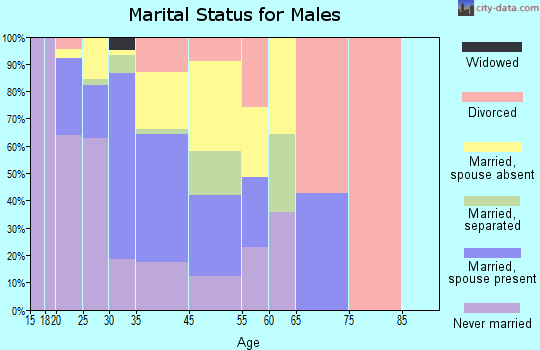 Loch Lomond marital status for males